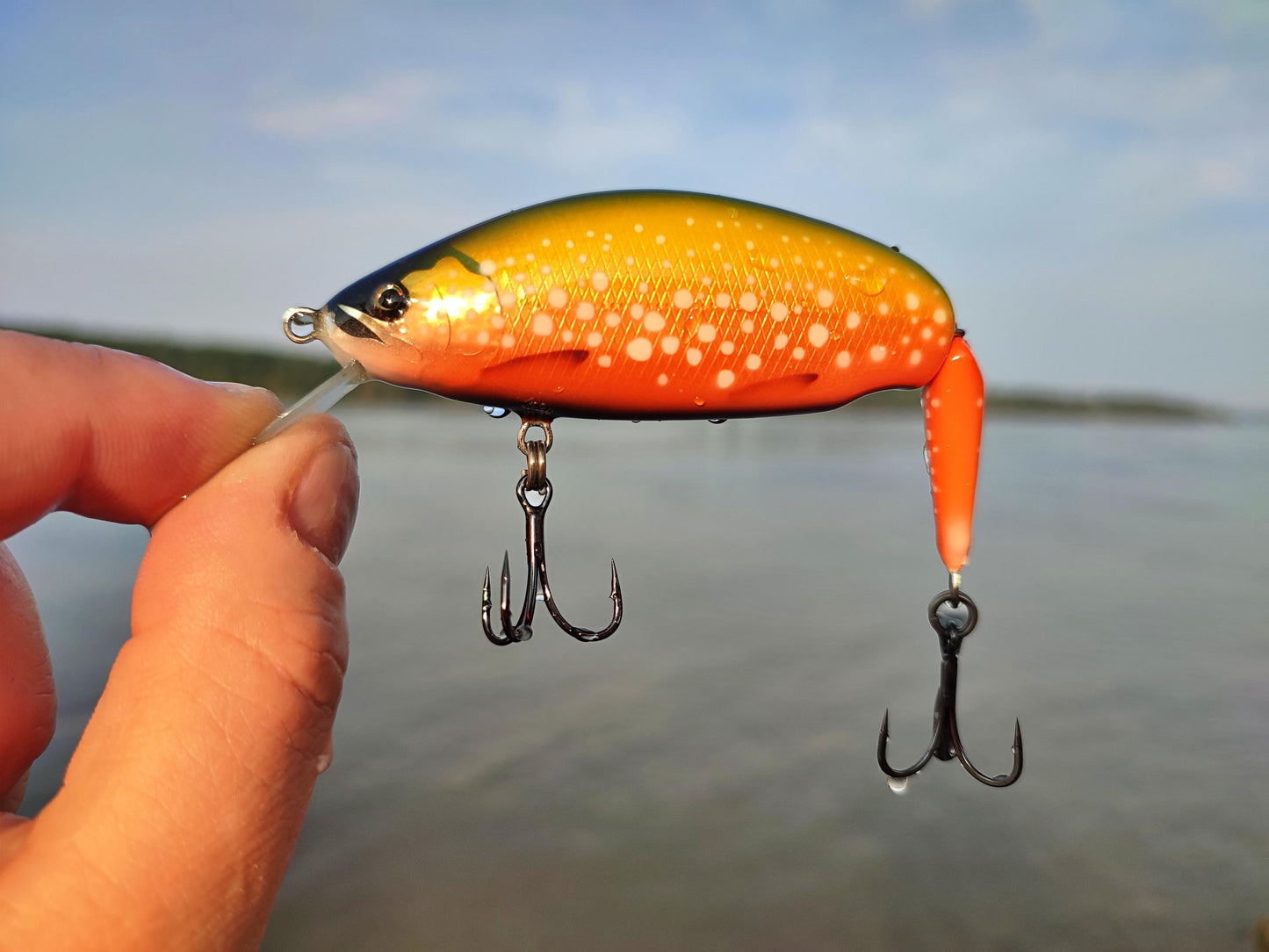 VHL 110mm-18gr floating